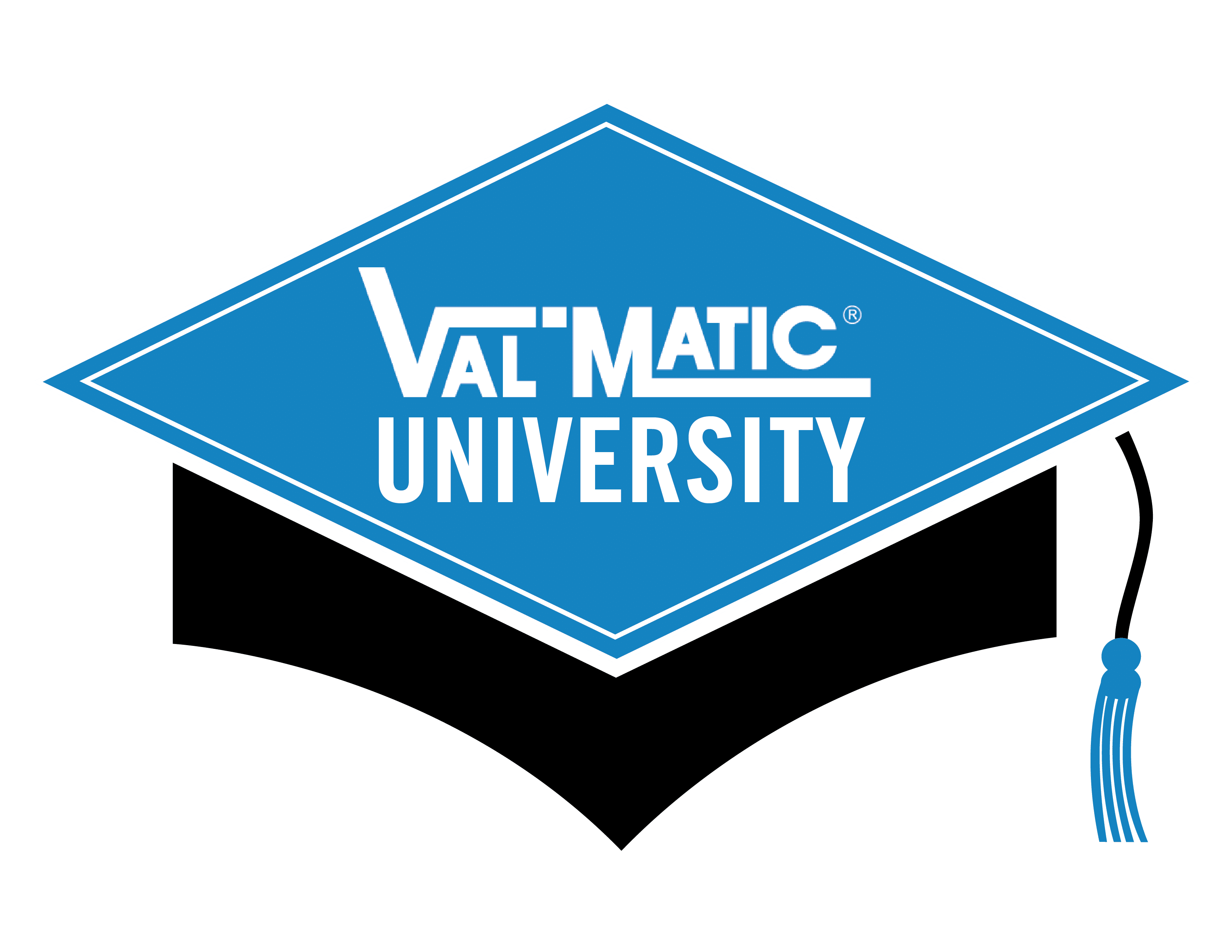 Color - Val-Matic Cap Logo_AYU-04